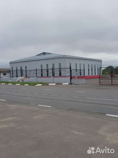 Безвоздушная покраска