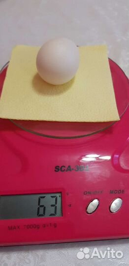 Домашние куриные яйца