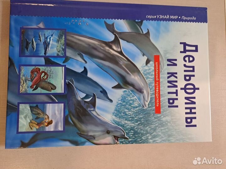 Кошки Птицы Лошади Собаки Дельфины Бабочки энцикло