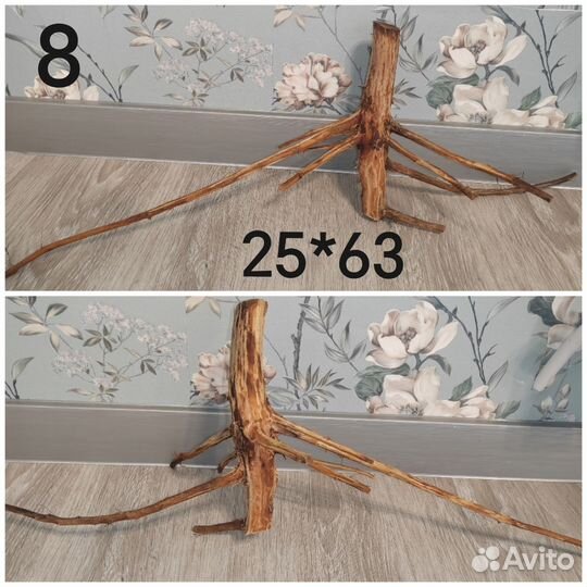 Коряги и ракушки в аквариум