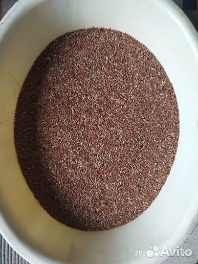 Рис красный нешлифованный, шелушеный, неочищенный