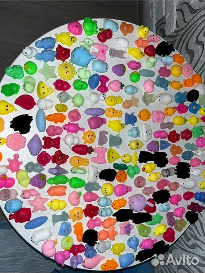 Мини сквиши