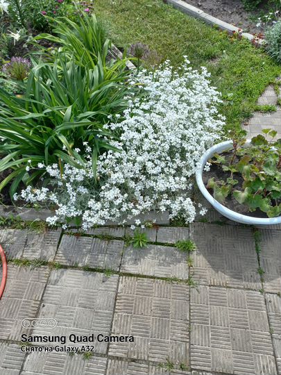 Дача 42 м² на участке 12 сот.