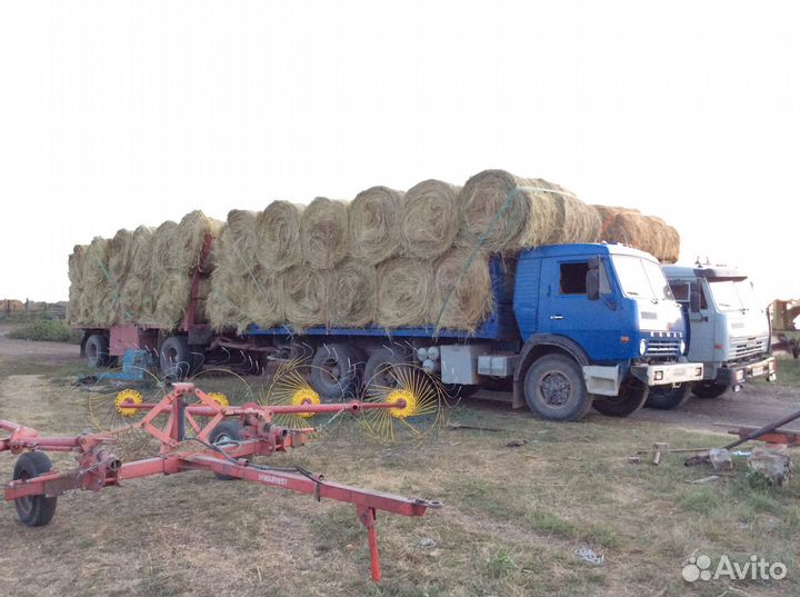 Сено в рулонах и тюках