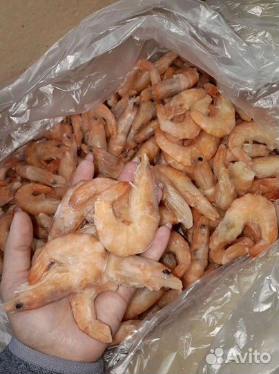 Морепродукты креветки, лангустины