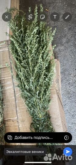 Банные веники,травы