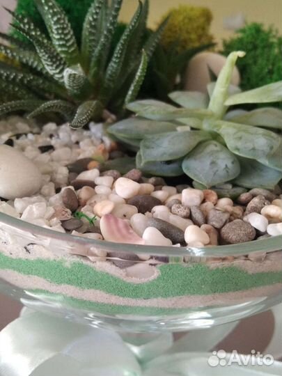 Цветы. Флорариумы. Цветочные композиции. Подарки