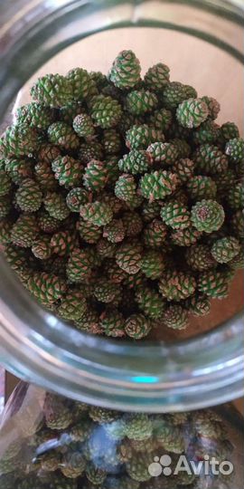 Эликсир здоровья N 2