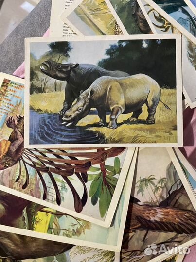 Карточки «Из глубины веков» 30 открыток