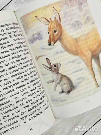 Бемби. Ф. Зальтен