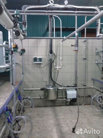 Доильный зал типа Ёлочка