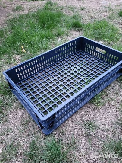 Ящик пластиковый, евролоток