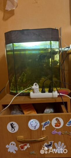 Аквариумные рыбки с тумбой