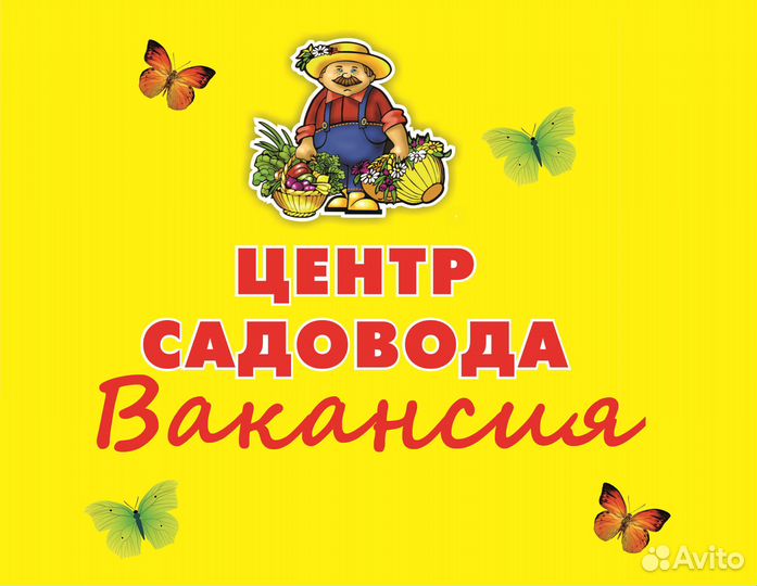 Продавец консультант