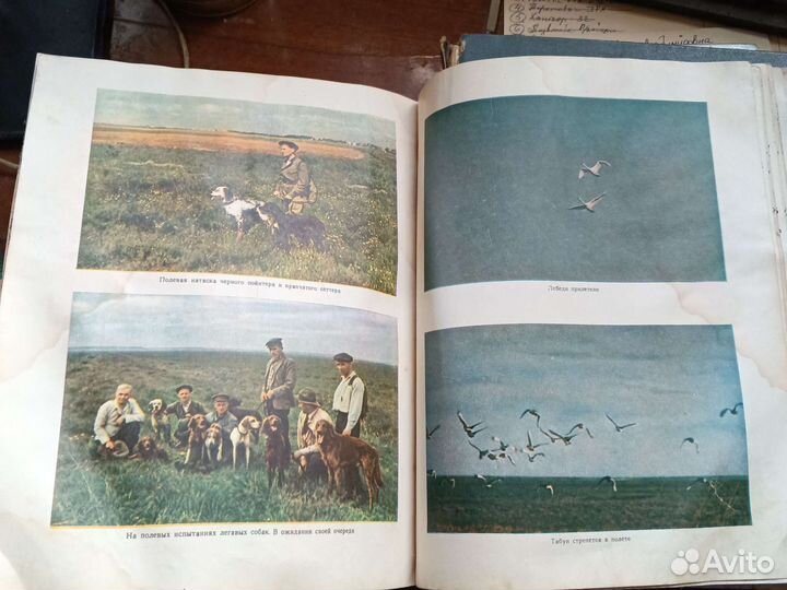 Старинная книга Охотника том ll СССР