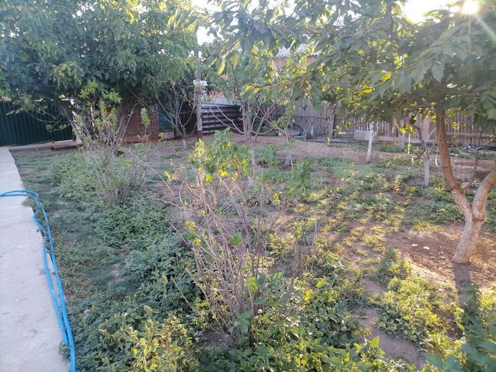 Участок 60 га (ИЖС)