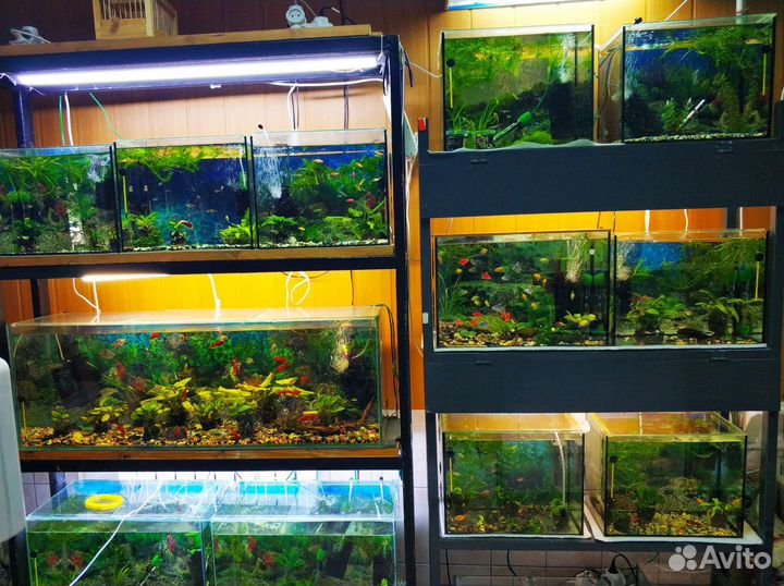 Действующий зоомагазин. Готовый бизнес