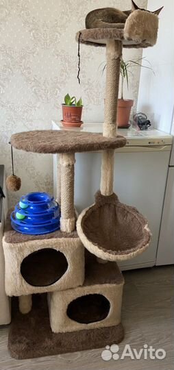 Домик для кошки с когтеточкой