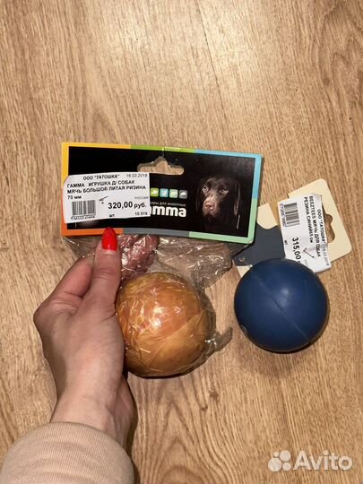 Ошейник, намордник для собак