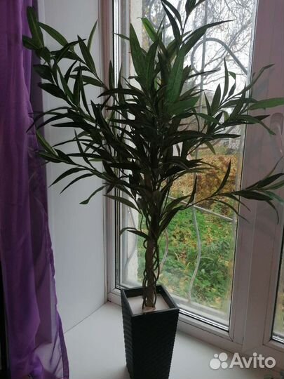 Искусственные деревья/ Эвкалипт