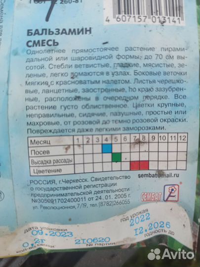 Бальзамин