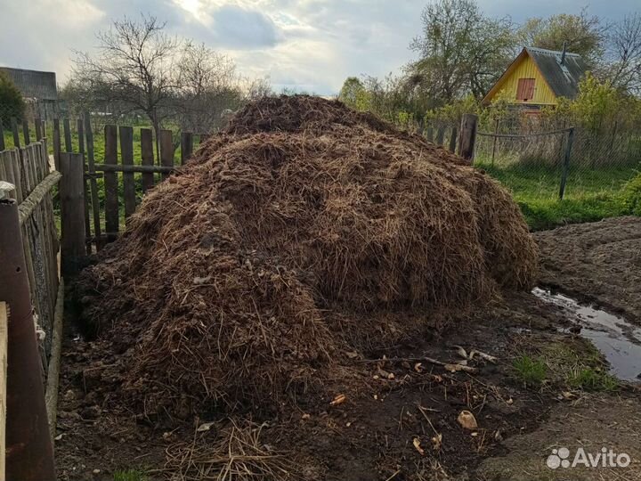 Навоз коровий