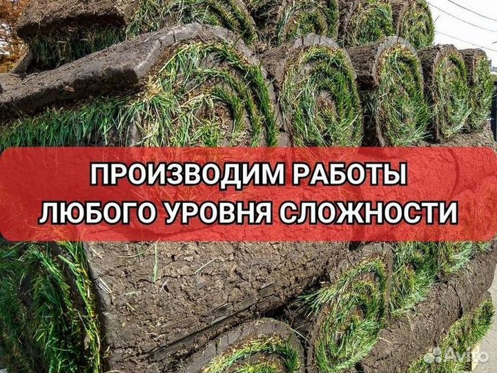 Рулонный газон