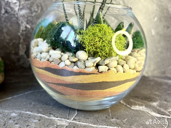 Флорариум суккуленты