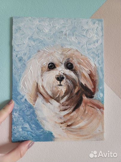 Картина акрилом Болонка