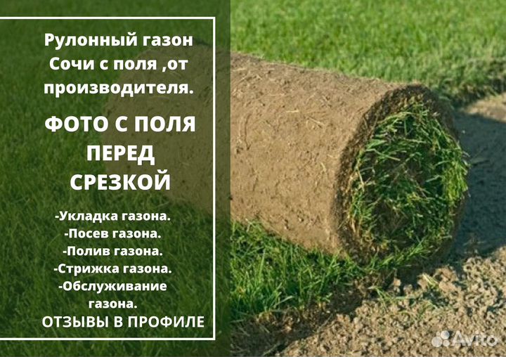 Рулонный газон от производителя. Быстро и удобно