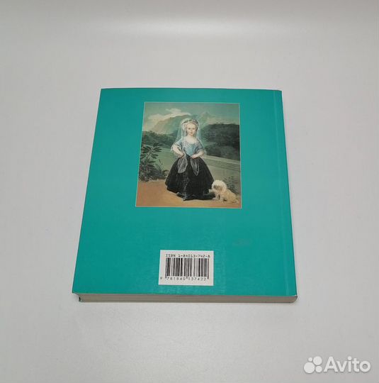 Книга Goya на английском языке