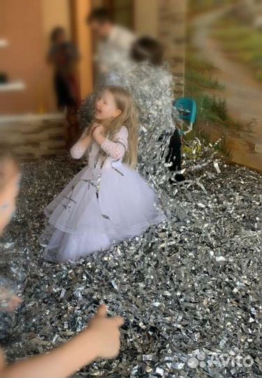 Серебряное шоу покупка