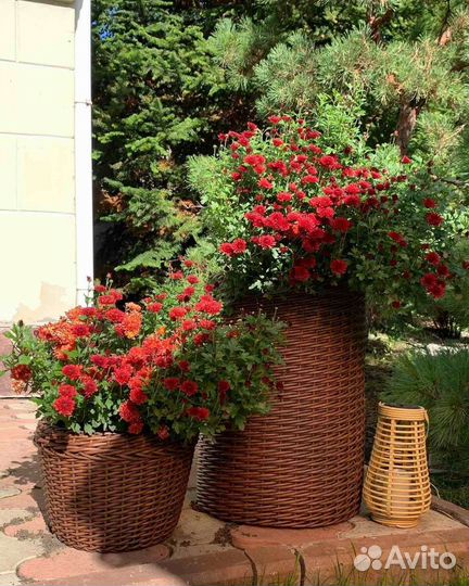 Напольные кашпо из искусственного ротанга