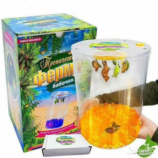 Ферма бабочек