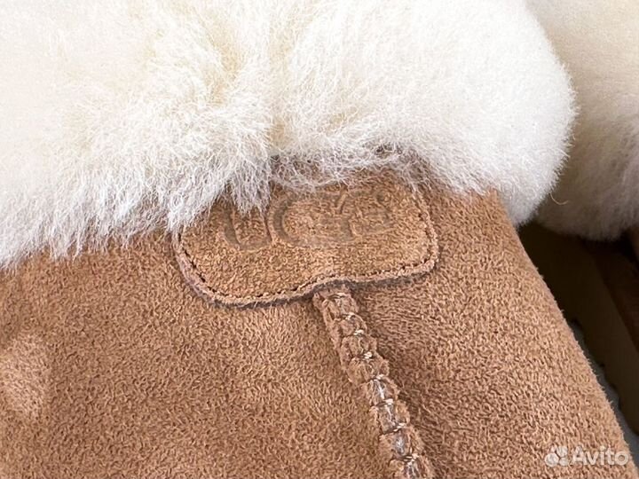 Тапочки UGG Slippers Scuffette Chestnut unisex