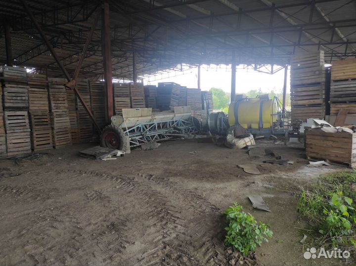 Сельское хозяйство