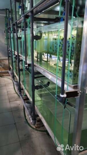 Стойка с аквариумами 4 метра