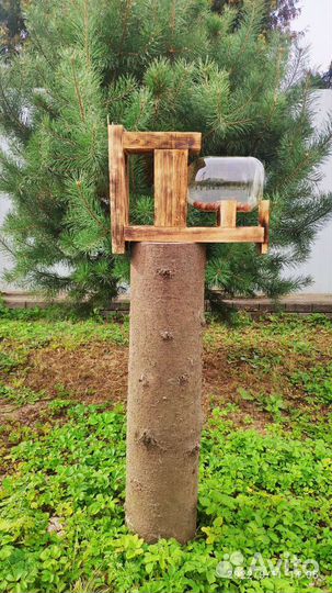 Кормушка для птиц и белок