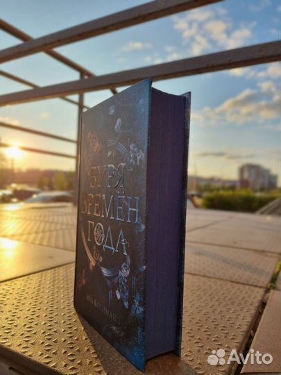 Книга Буря времен года Эль Косимано