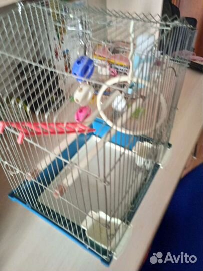 Клетка для попугая