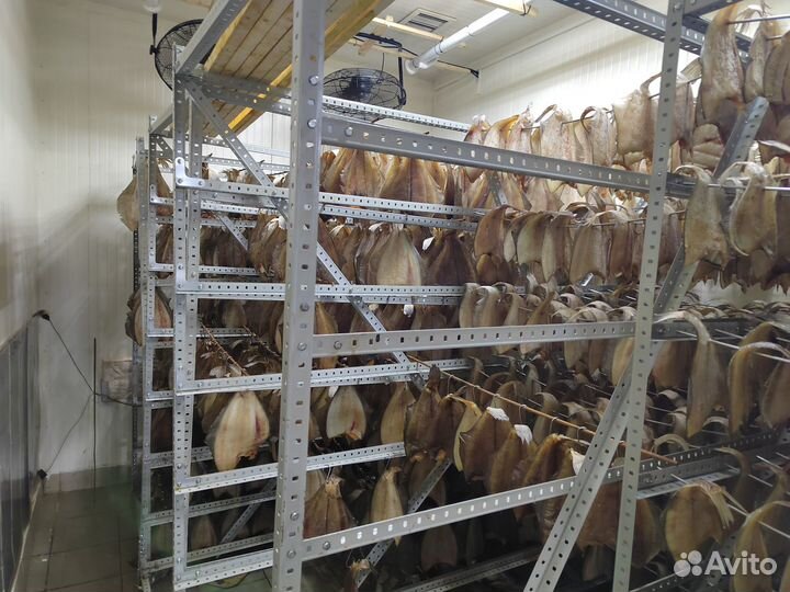 Рыба Ерш Мурманский