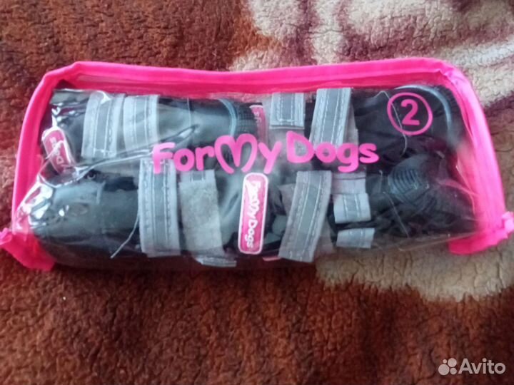 Сапоги для собак