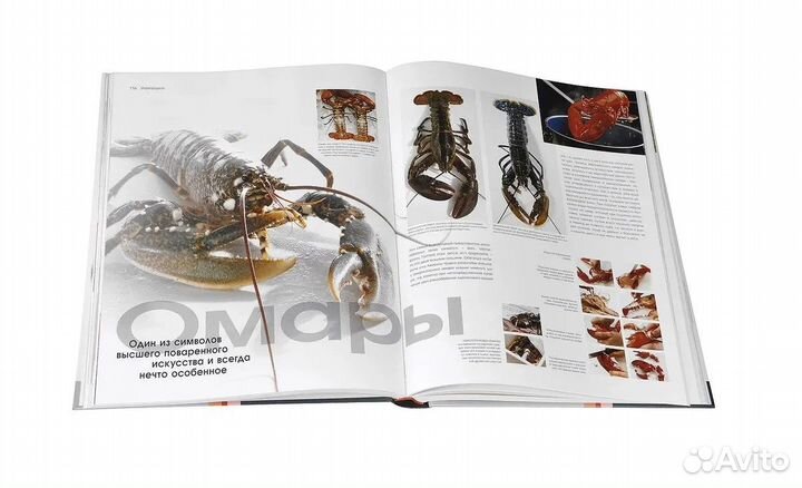 Food. Весь мир продуктов питания