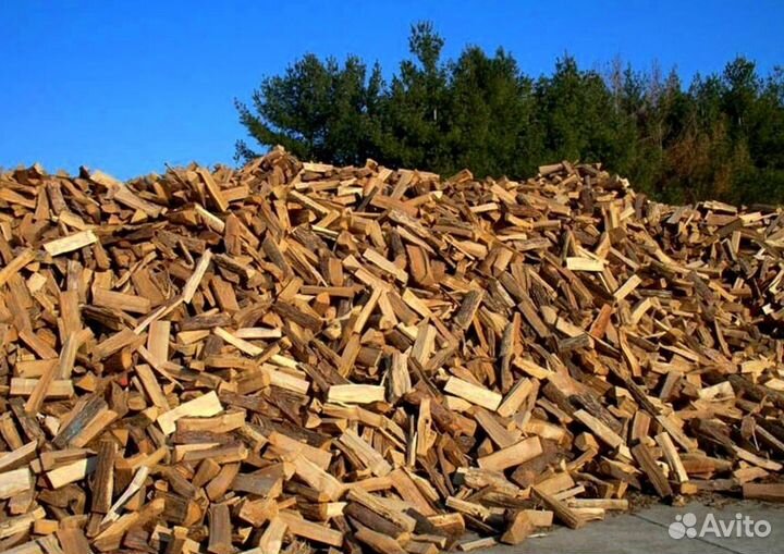 Дрова береза осина ольха