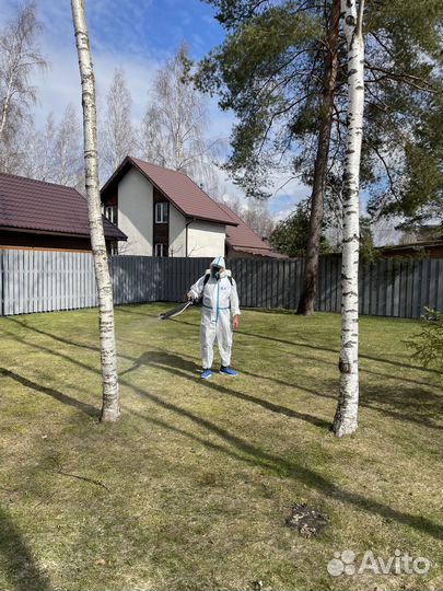 Обработка участка от клещей, комаров, борщевика