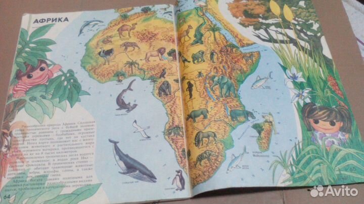 Мир и человек