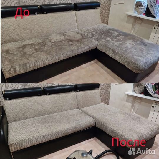 Аренда пароочистителя и моющего пылесоса Karcher