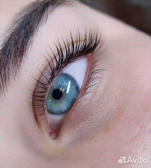 Брови ресницы