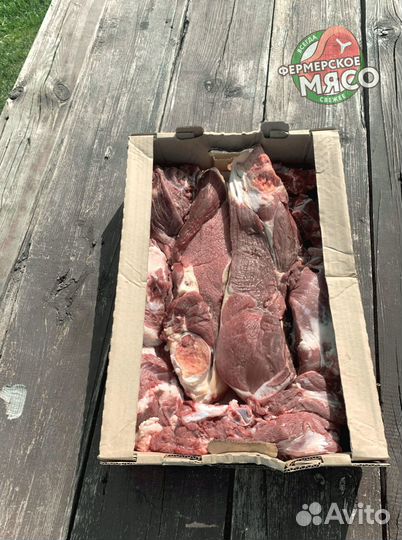 Мясо говядина