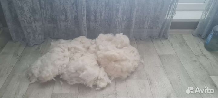 Собачья шерсть пух